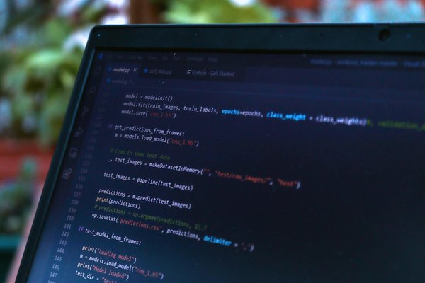 Los mejores productos para mascotas en España en 2024