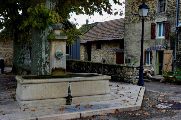 Consejos de ejercicio para una vida más saludable para un año exitoso